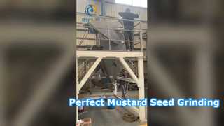 Molino de púas para moler semillas de mostaza.