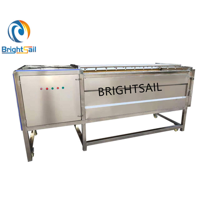 Lavadora industrial de jengibre en lavadoras de Brightsail