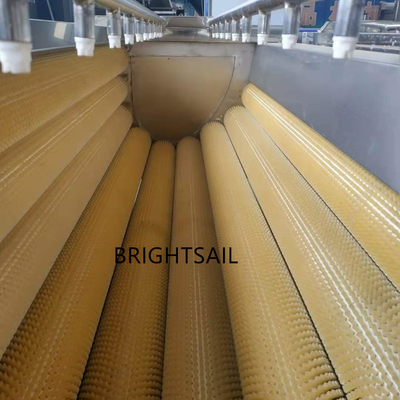 Lavadora industrial de jengibre en lavadoras de Brightsail