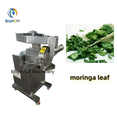 Molino de martillos de alta velocidad para hojas de hierbas, hojas de moringa y especias