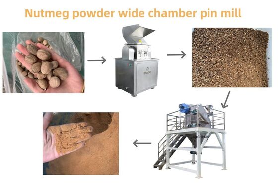 Molino de polvo de molino de pasador de máquina de molienda de semillas de mostaza para semillas oleaginosas y especias